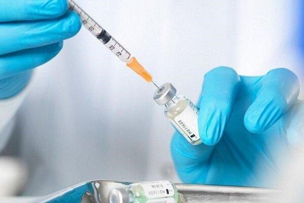 خبر خوش درباره تولید پادتن اختصاصی ضد ویروس کرونا در کشور