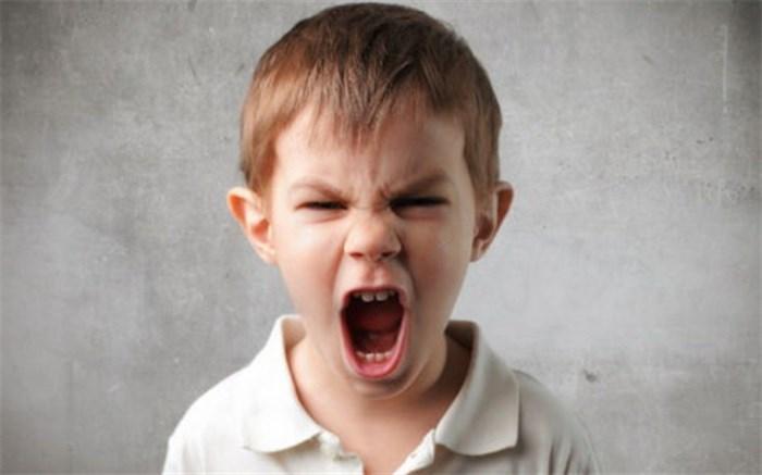 چه عواملی باعث پرخاشگری بچه ها می شود