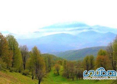 دیدنی های جنگل نقله بر، زیبایی در قلب رودبار